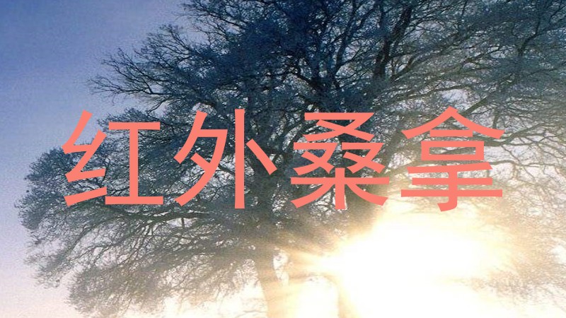 红外桑拿
