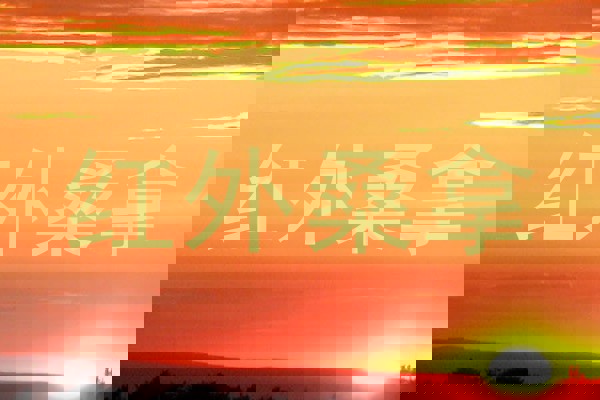 红外桑拿