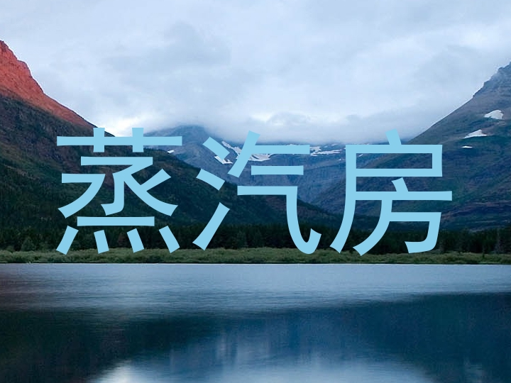 蒸汽房