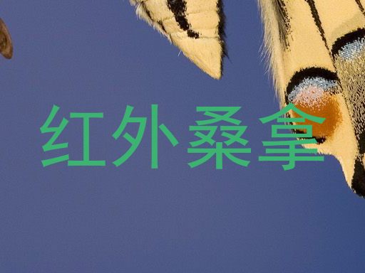 红外桑拿