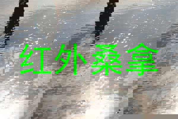 红外桑拿