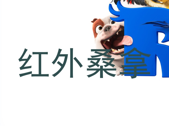 红外桑拿