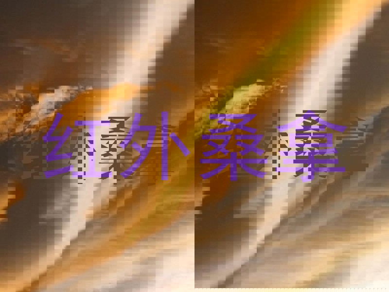 红外桑拿