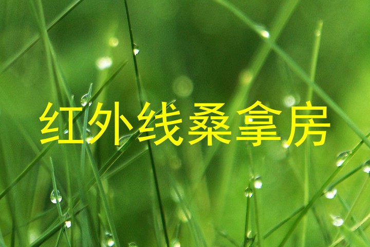红外线桑拿房