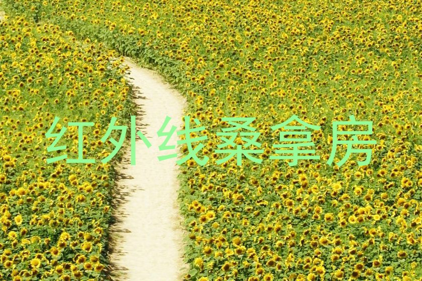 红外线桑拿房