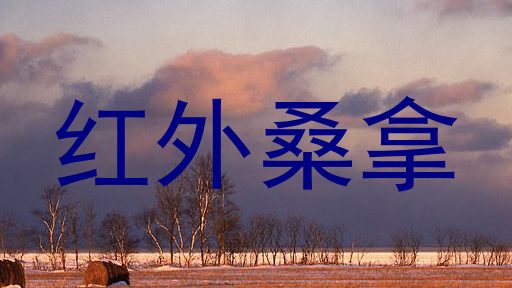 红外桑拿