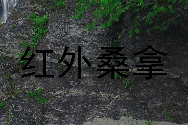 红外桑拿