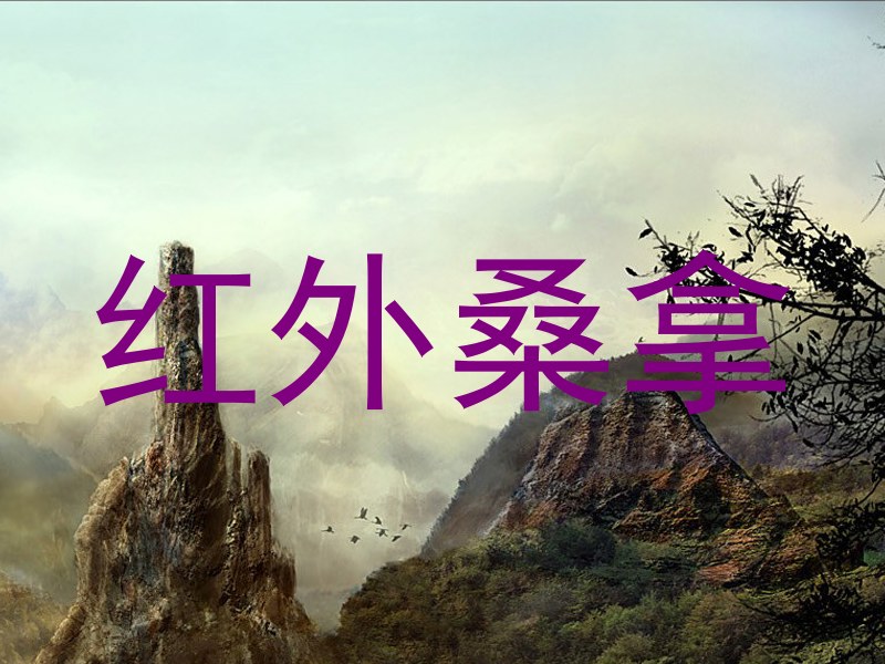 红外桑拿