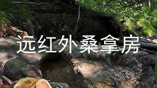 远红外桑拿房