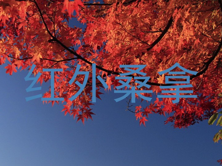 红外桑拿