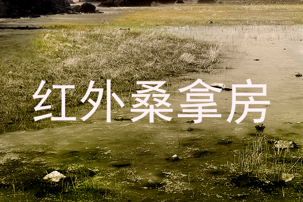 红外桑拿房