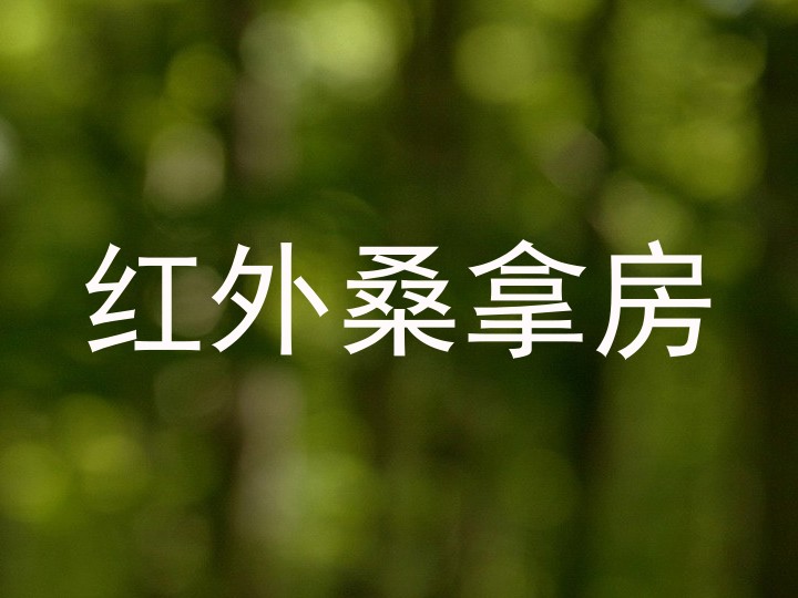 红外桑拿房