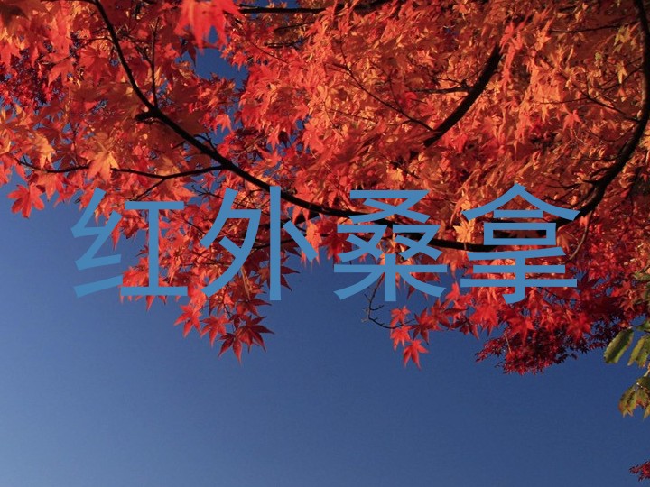 红外桑拿