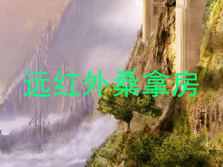 远红外桑拿房