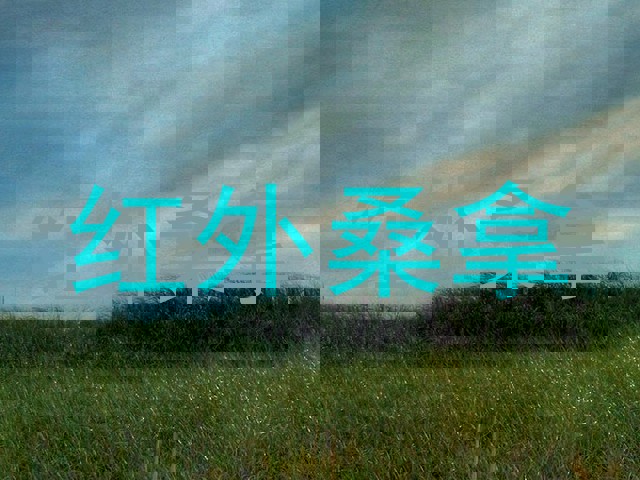 红外桑拿