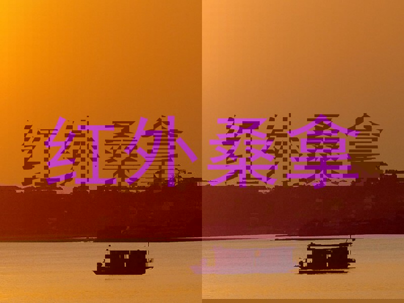 红外桑拿