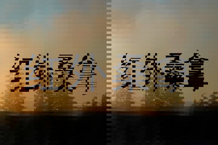 红外桑拿