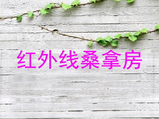 红外线桑拿房