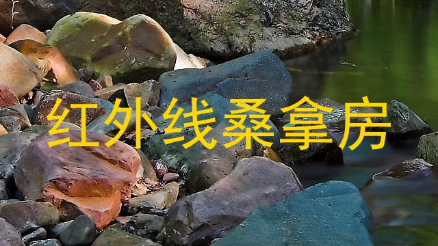 红外线桑拿房