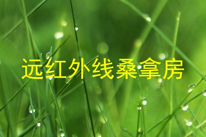 远红外线桑拿房