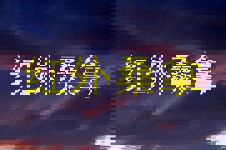 红外桑拿