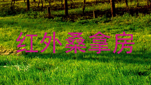 红外桑拿房