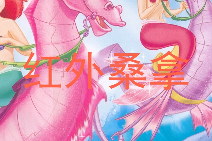红外桑拿