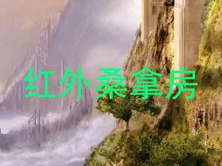 红外桑拿房
