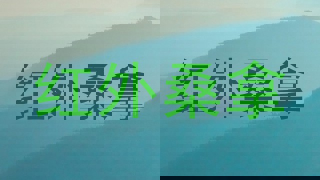 红外桑拿