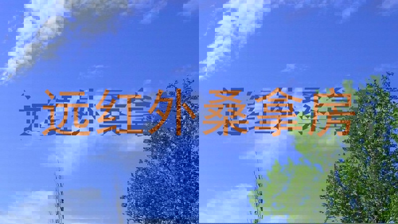 远红外桑拿房