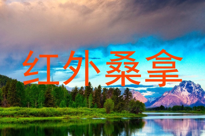 红外桑拿