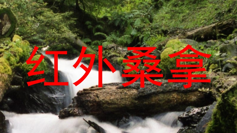 红外桑拿