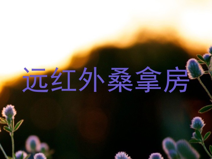 远红外桑拿房