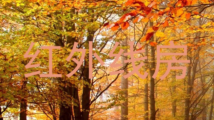 红外线房