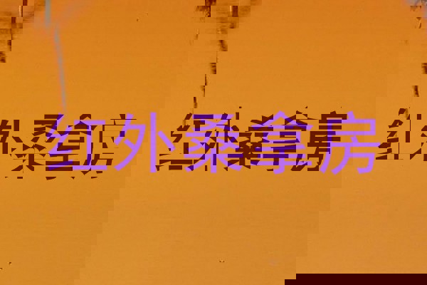 红外桑拿房