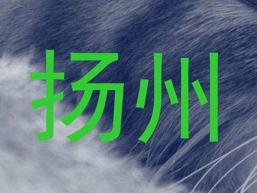 扬州
