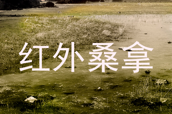 红外桑拿