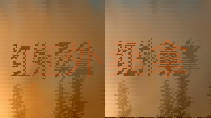 红外桑拿