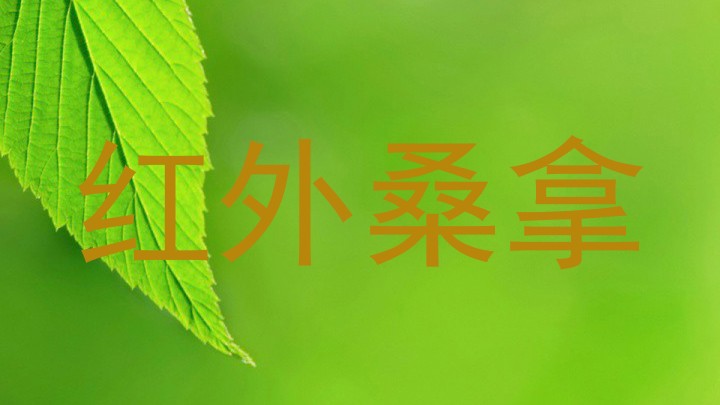 红外桑拿