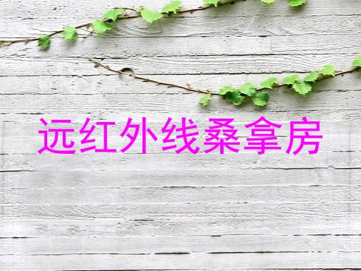远红外线桑拿房