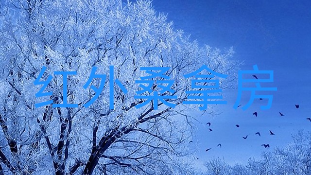 红外桑拿房