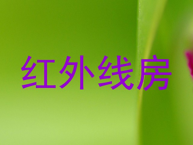 红外线房