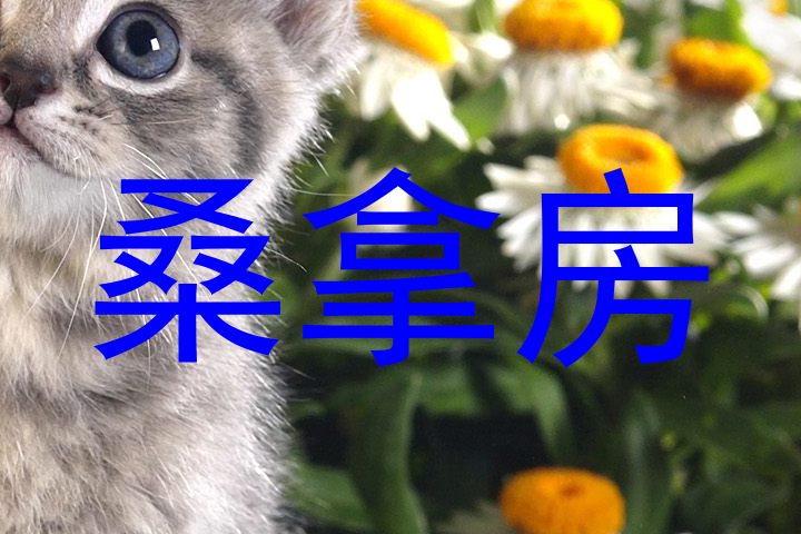 桑拿房