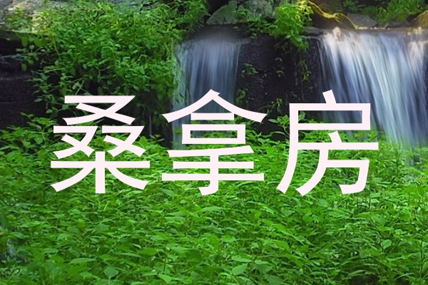 桑拿房