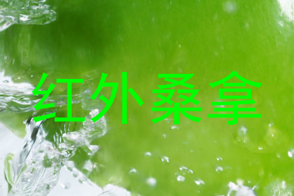 红外桑拿