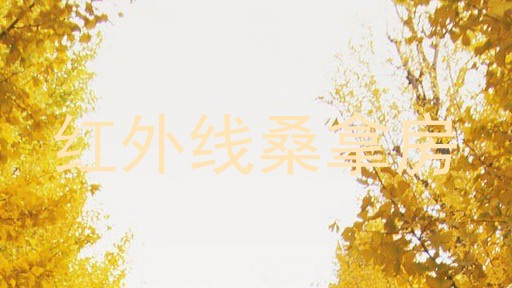 红外线桑拿房
