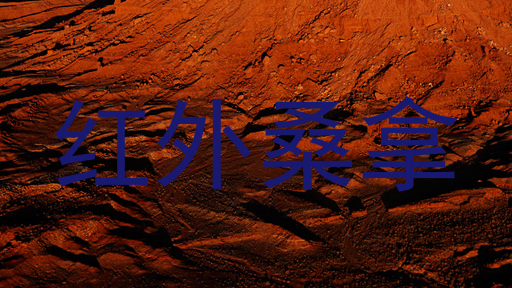红外桑拿