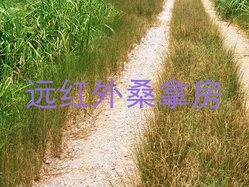 远红外桑拿房
