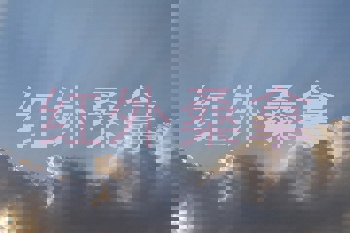 红外桑拿