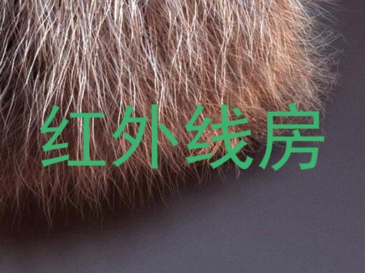 红外线房
